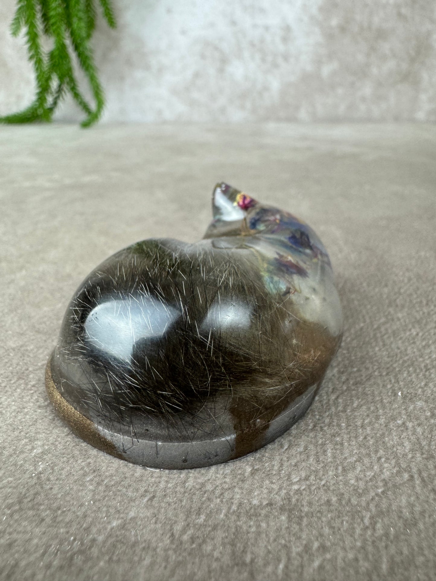 Epoxy Kat kijkend