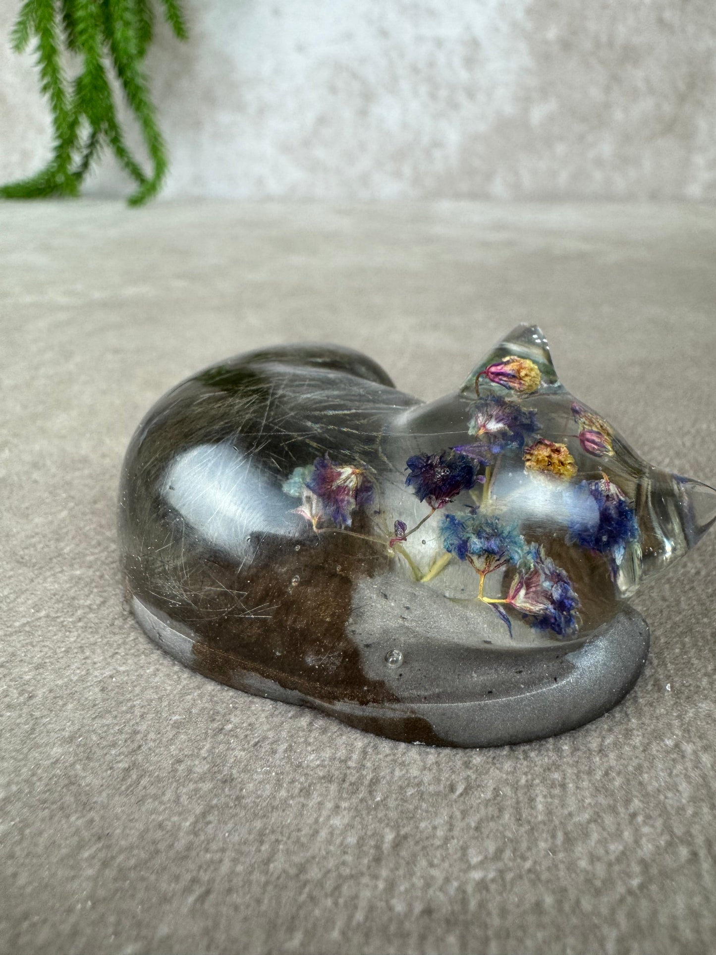 Epoxy Kat kijkend