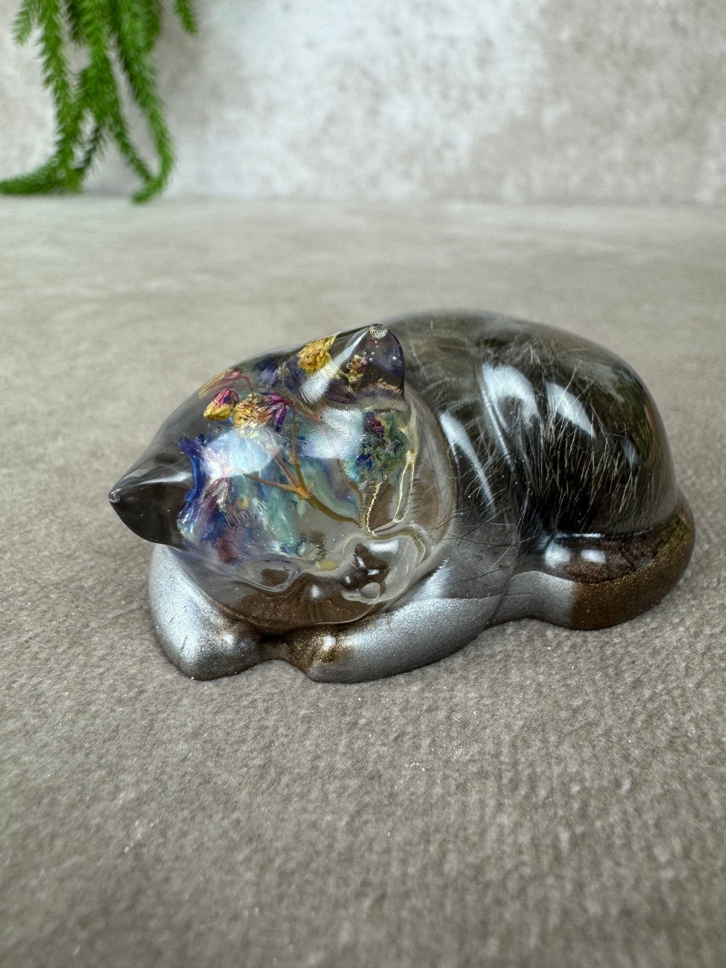 Epoxy Kat kijkend