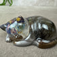 Epoxy Kat kijkend