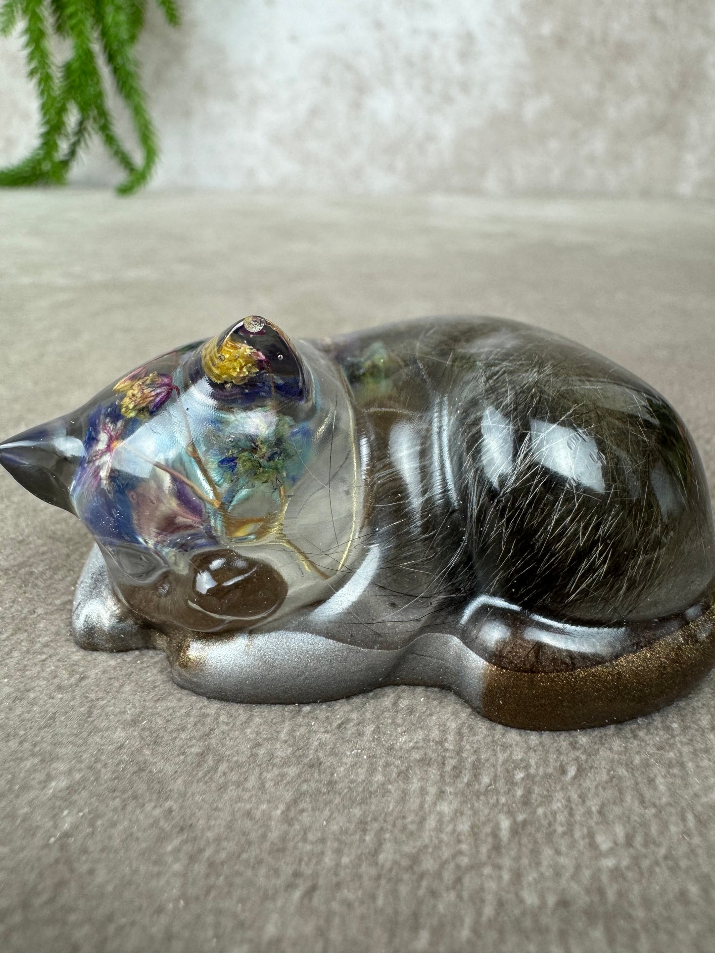 Epoxy Kat kijkend