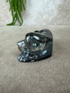 Epoxy Hondje lang