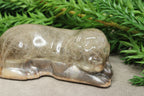 Epoxy Hondje lang