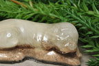 Epoxy Hondje lang