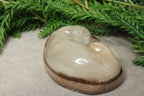 Epoxy Hondje opgerold