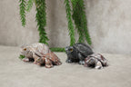 Speksteen schildpad