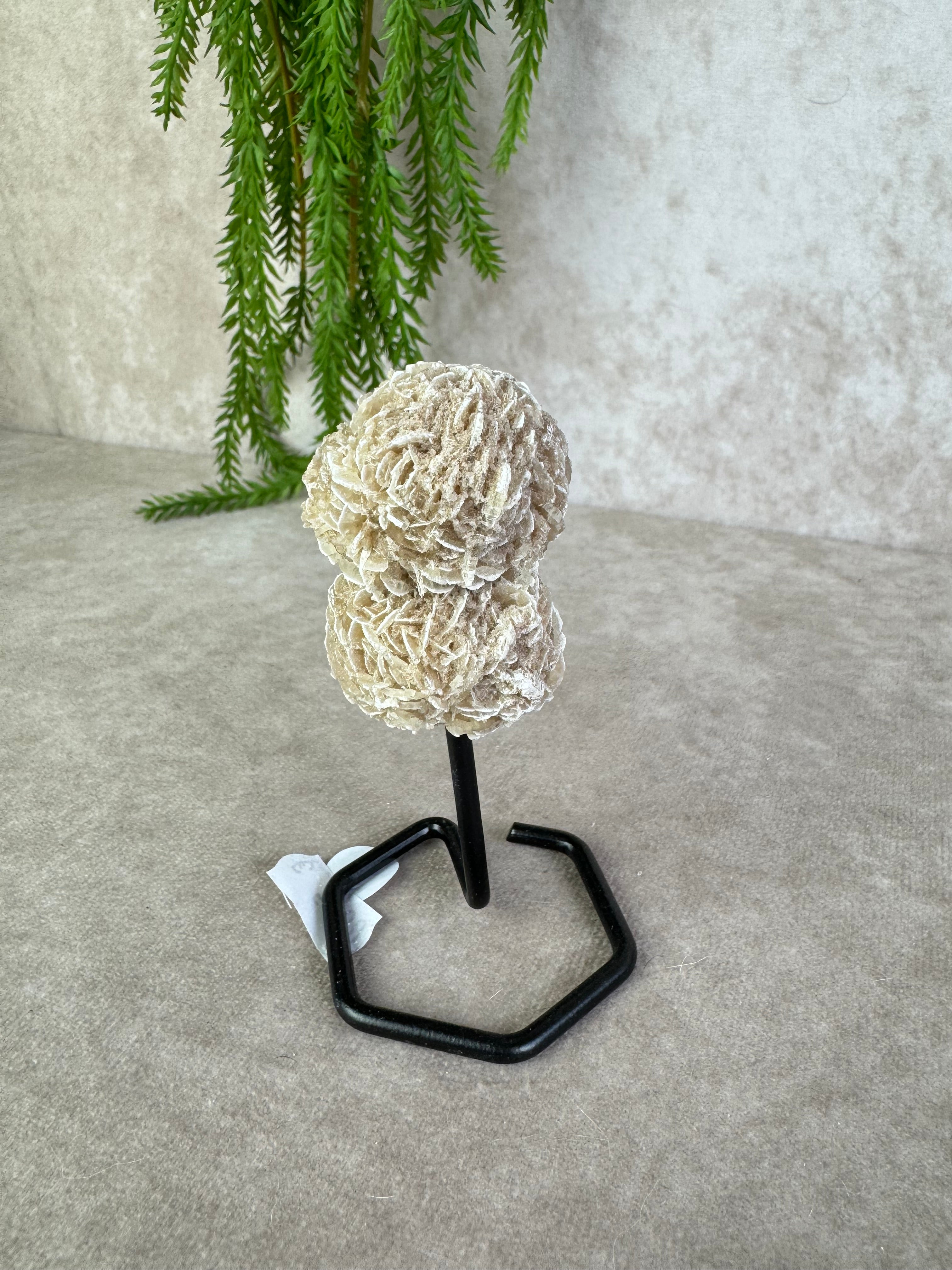 Woestijn roos op standaard #91