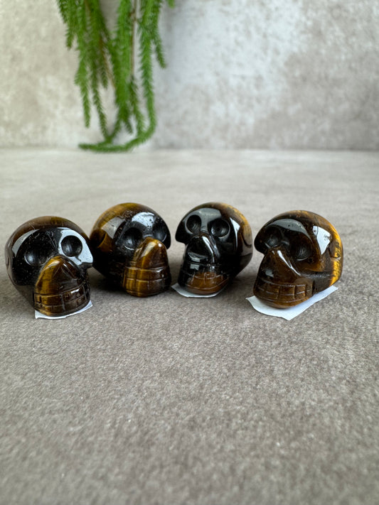 mini scull tijgeroog