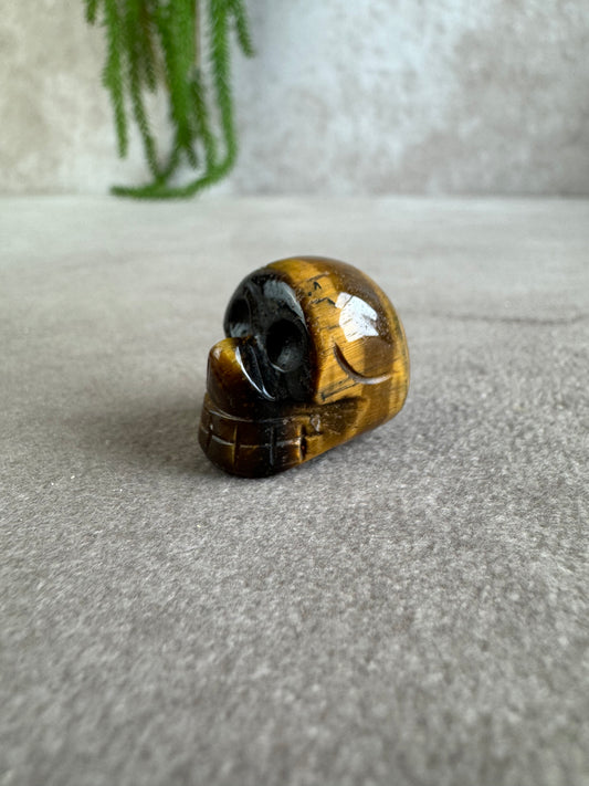 mini scull tijgeroog