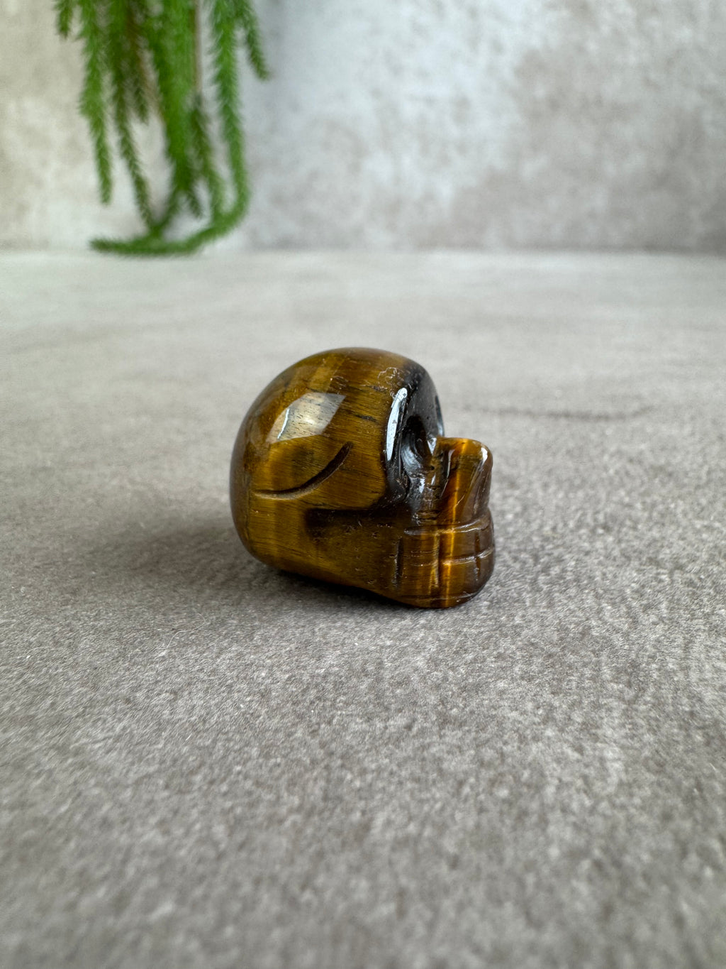 mini scull tijgeroog