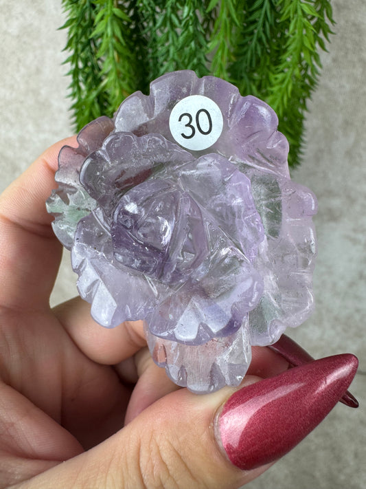Amethist roos #30