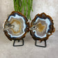 Agaat schijven set #1598