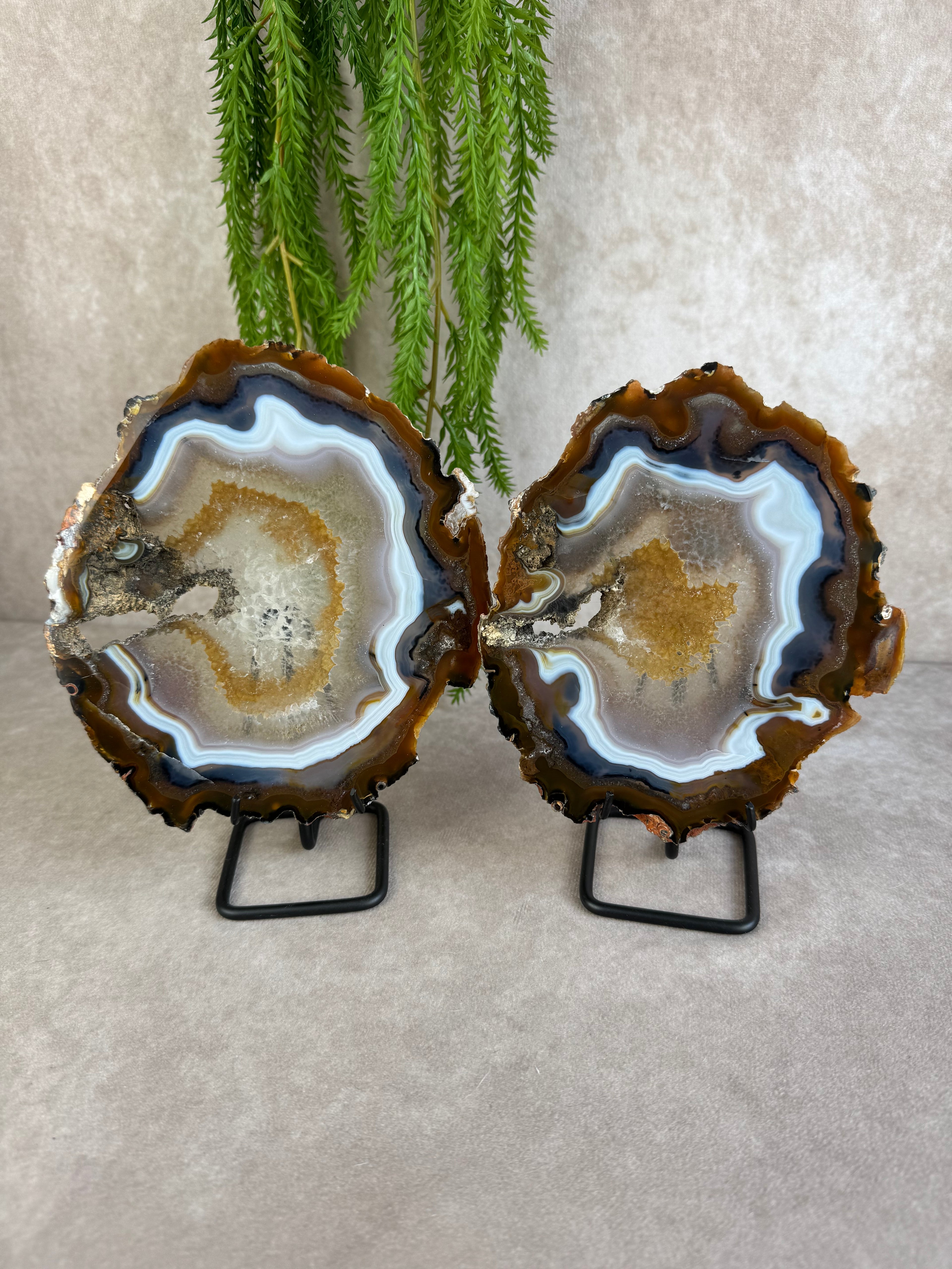 Agaat schijven set #1598