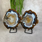 Agaat schijven set #1598