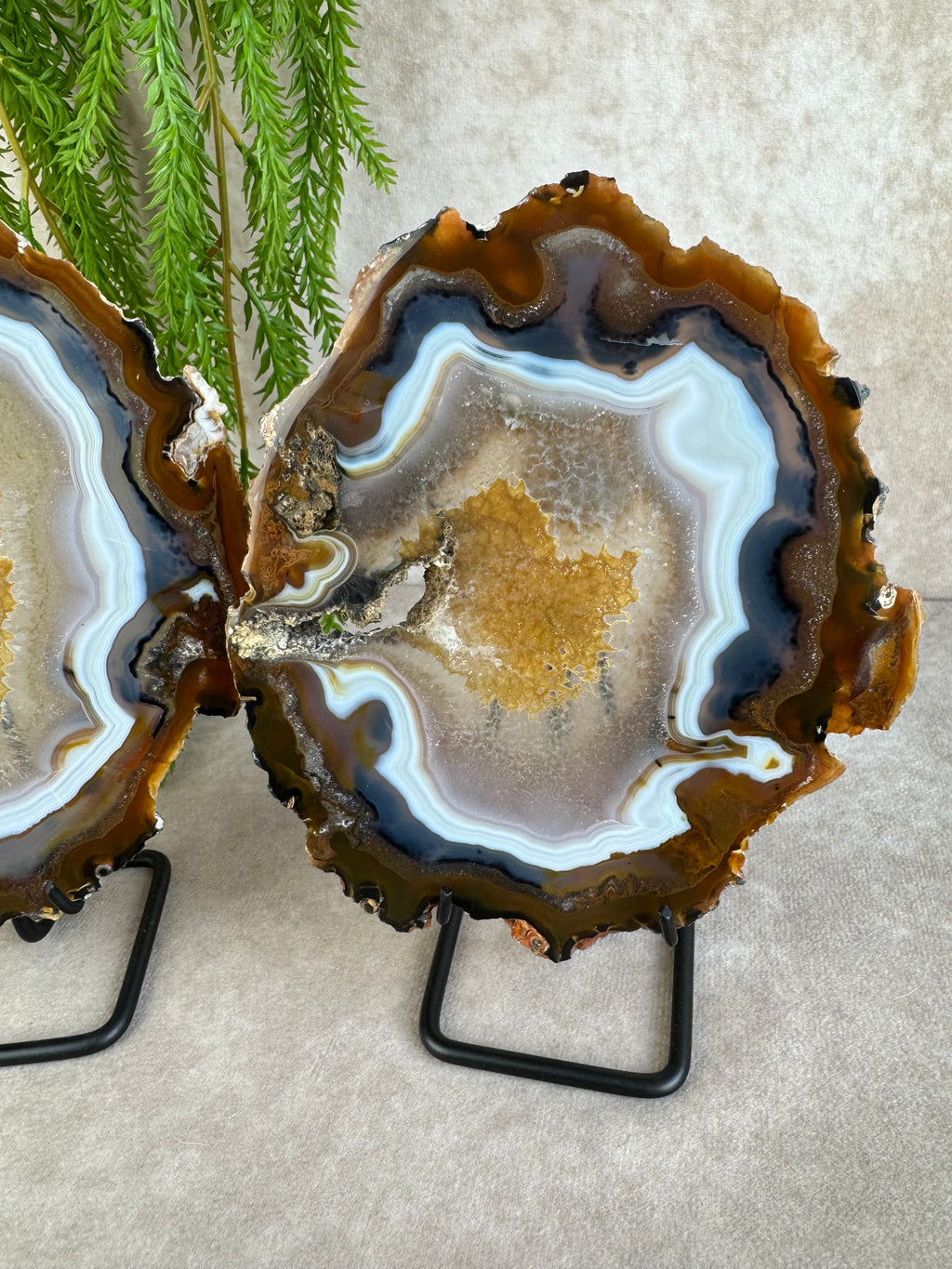 Agaat schijven set #1598