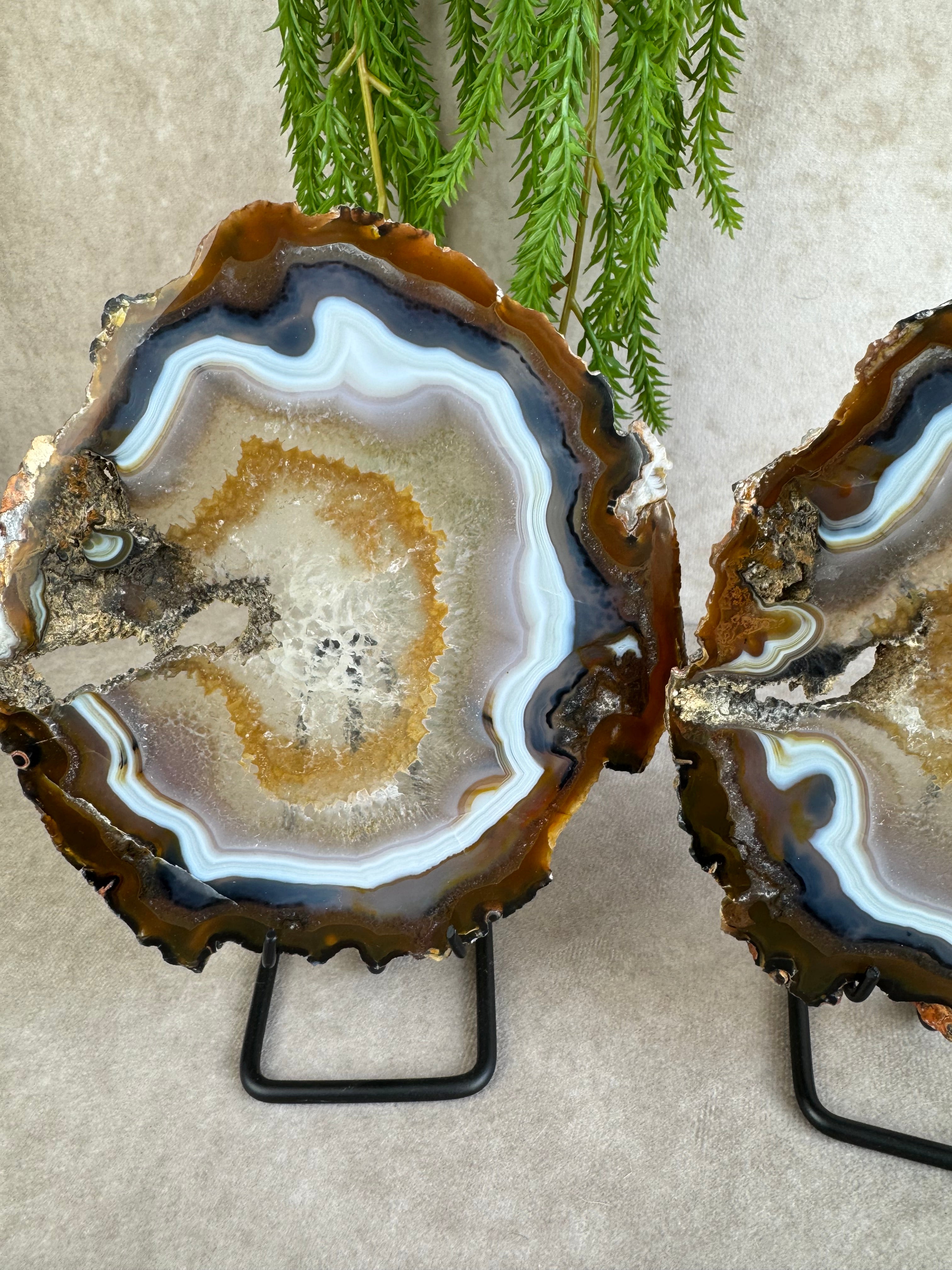 Agaat schijven set #1598