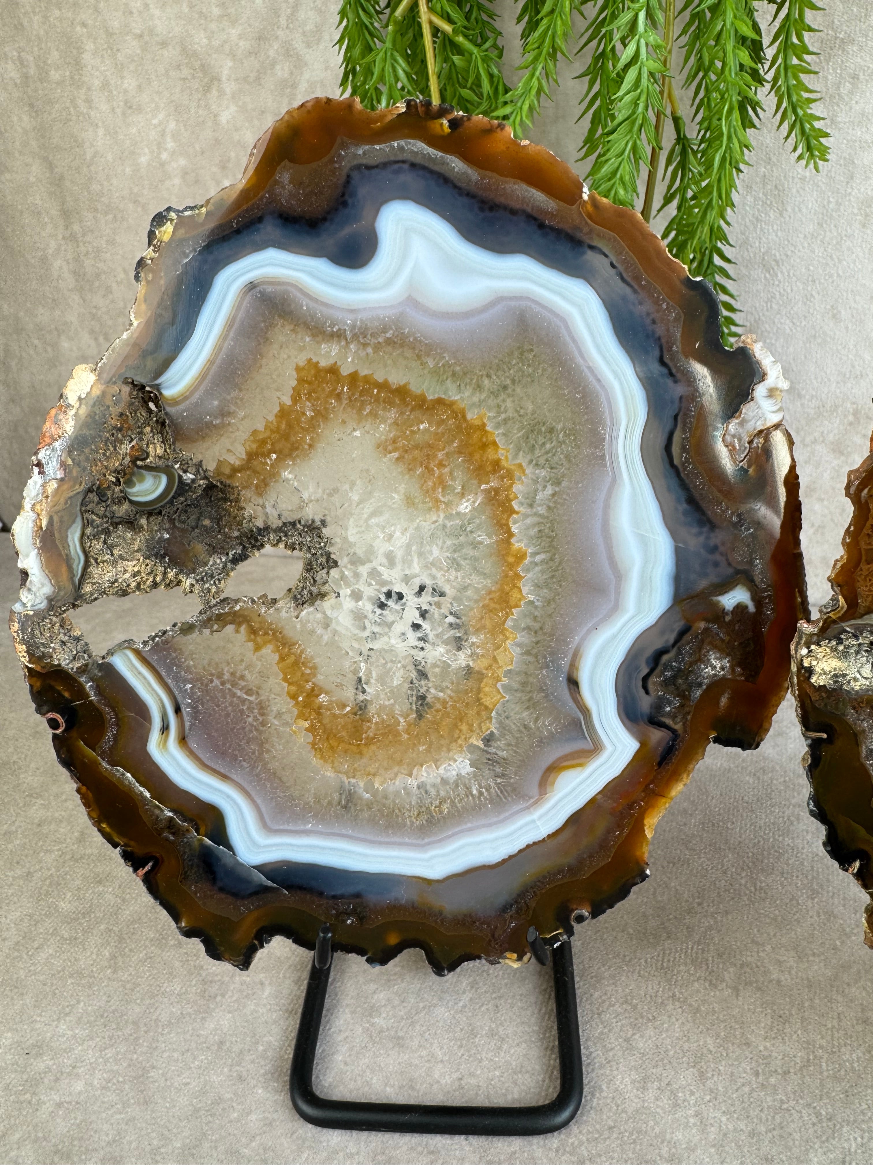 Agaat schijven set #1598