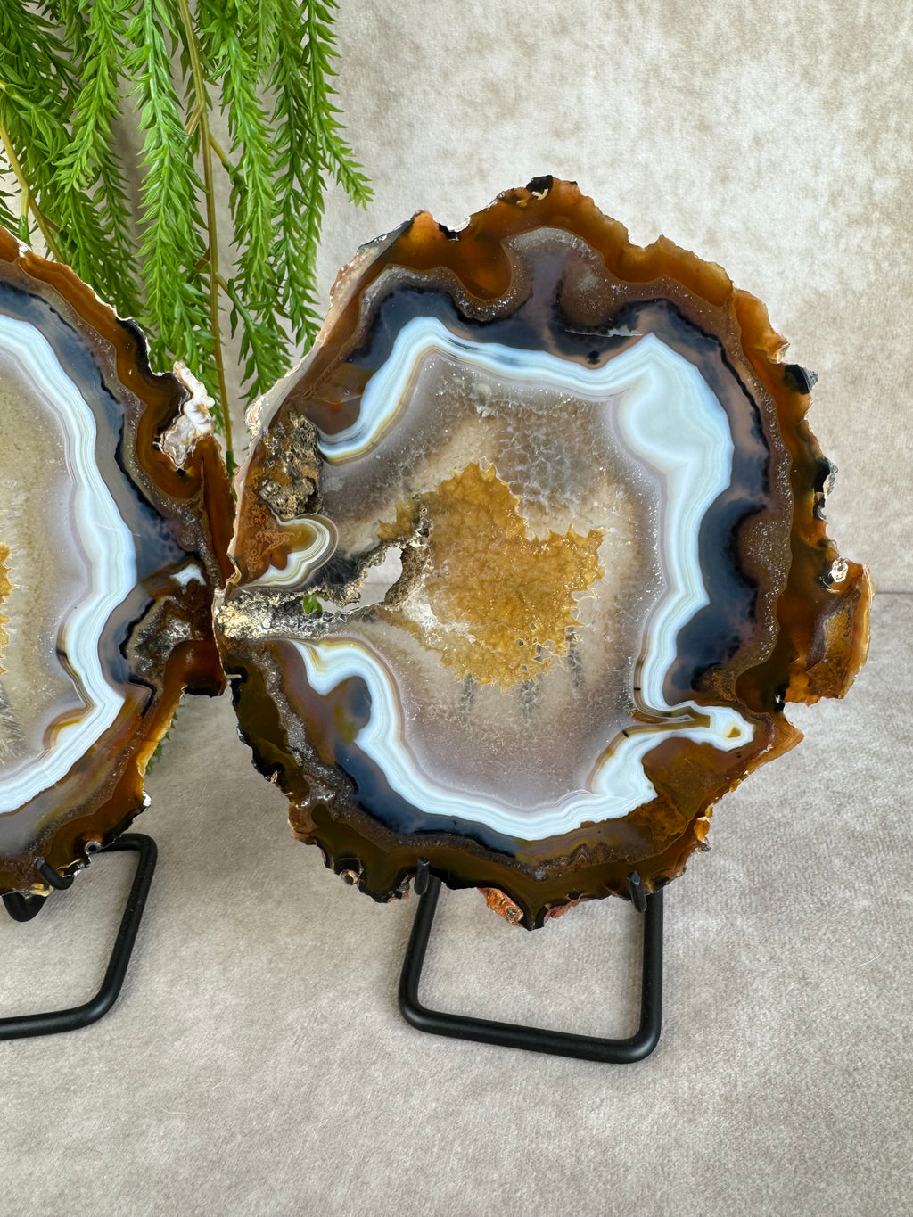 Agaat schijven set #1598