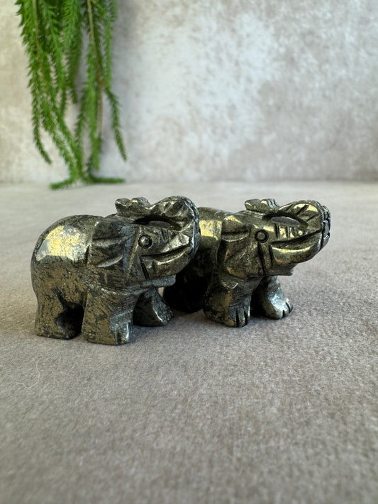 Olifant Pyriet