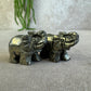 Olifant Pyriet