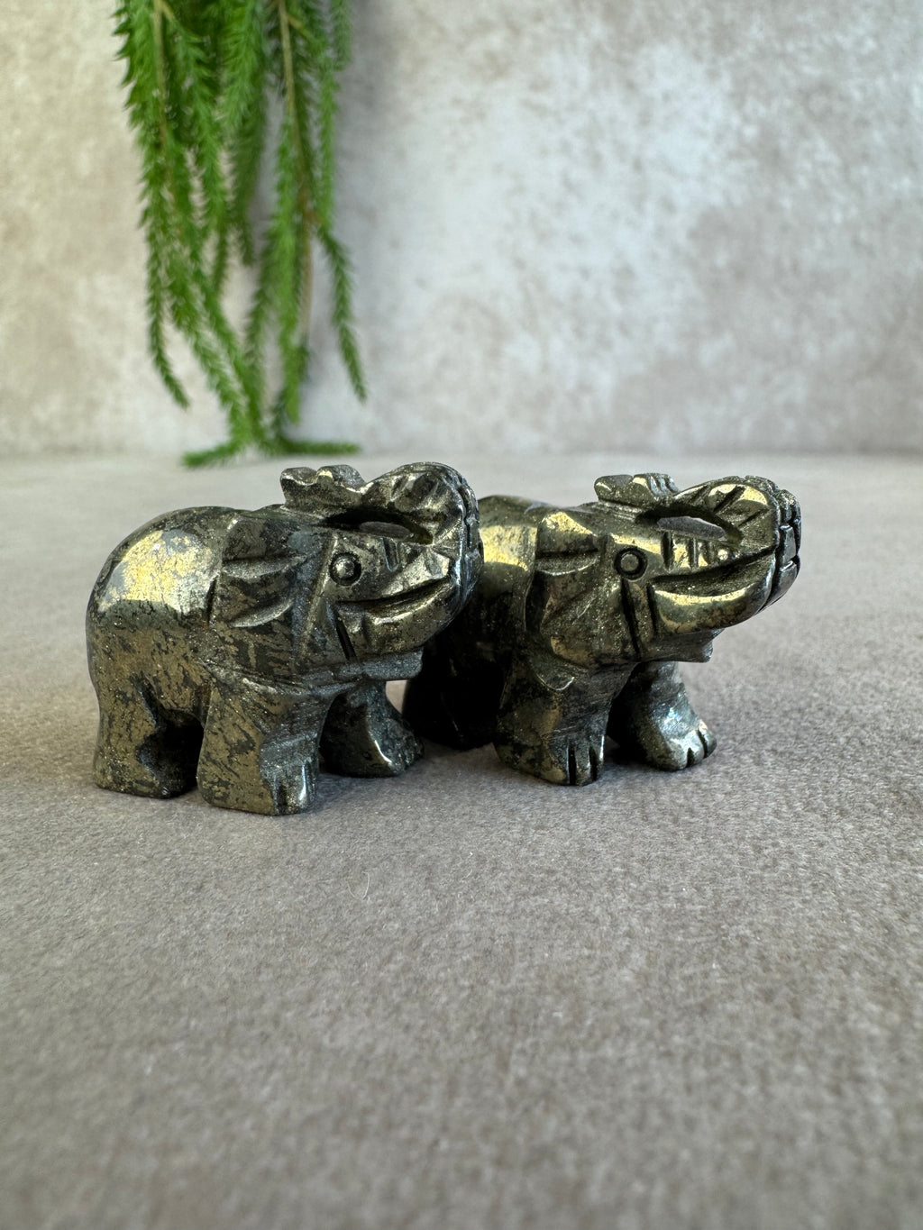 Olifant Pyriet
