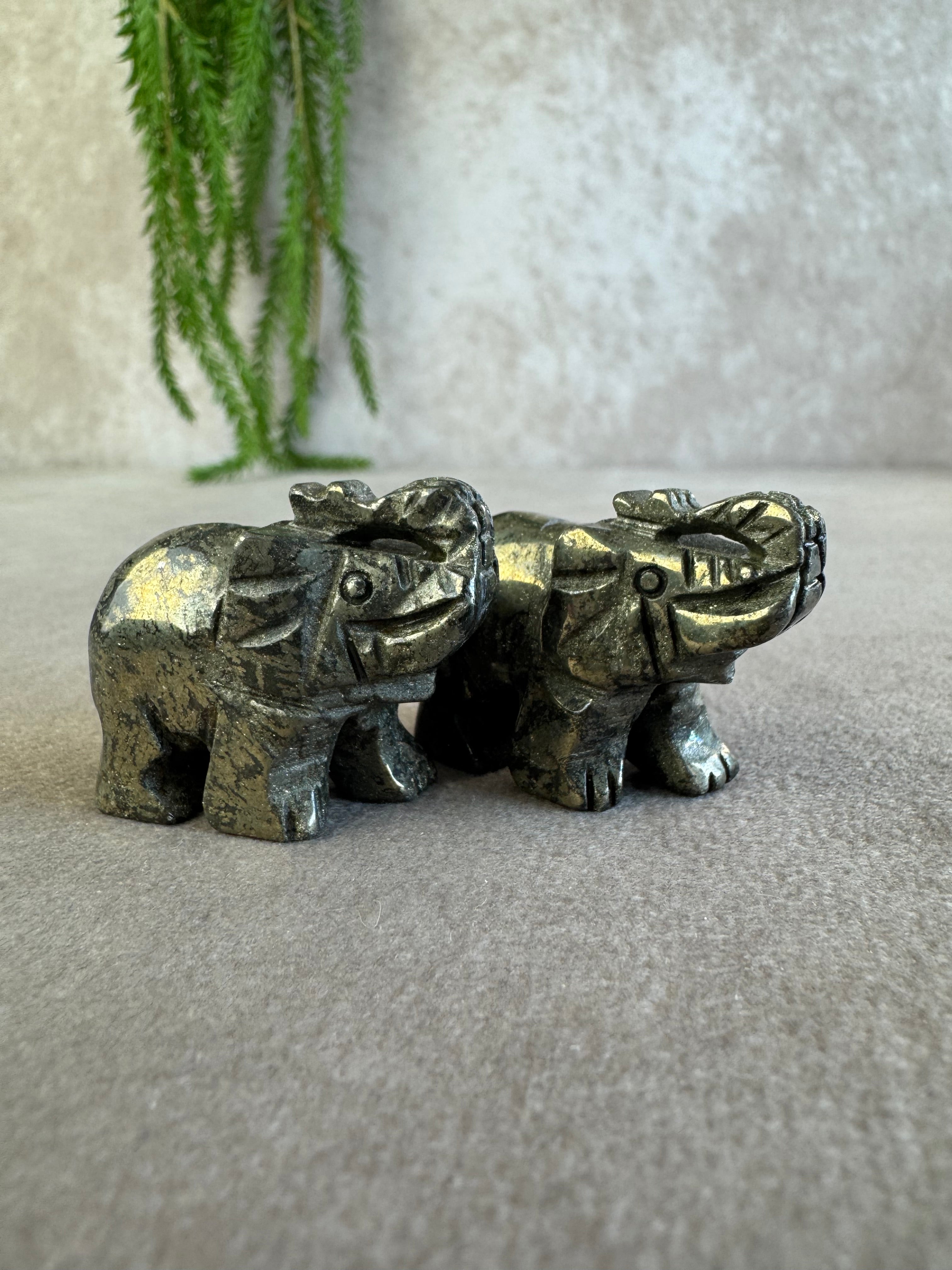 Olifant Pyriet