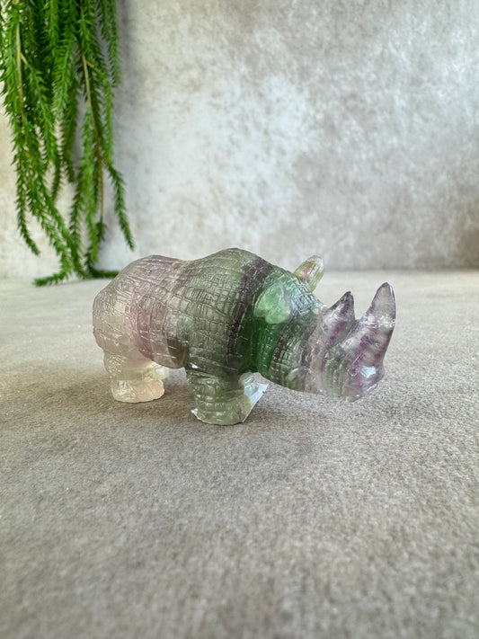Neushoorn paars groen