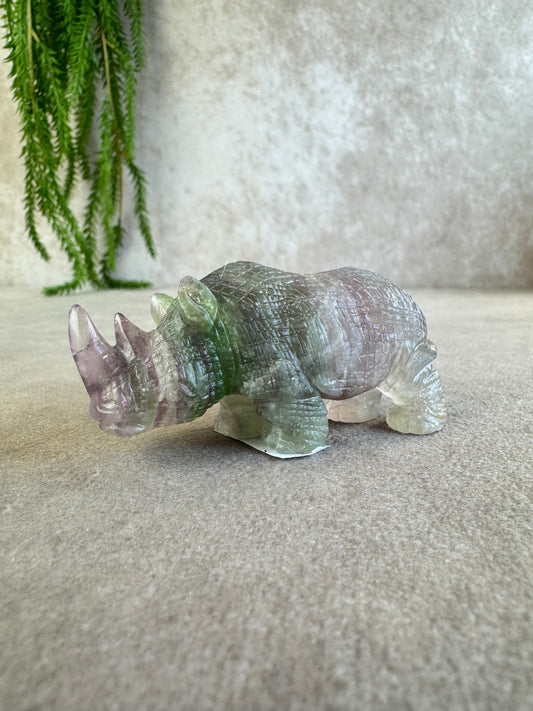 Neushoorn paars groen