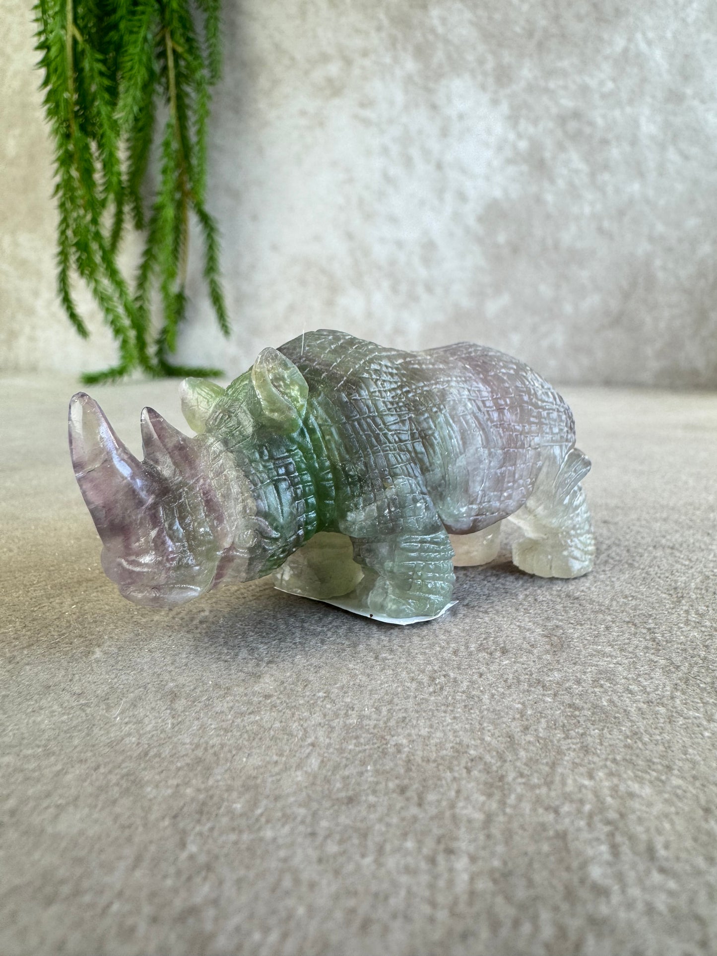 Neushoorn paars groen