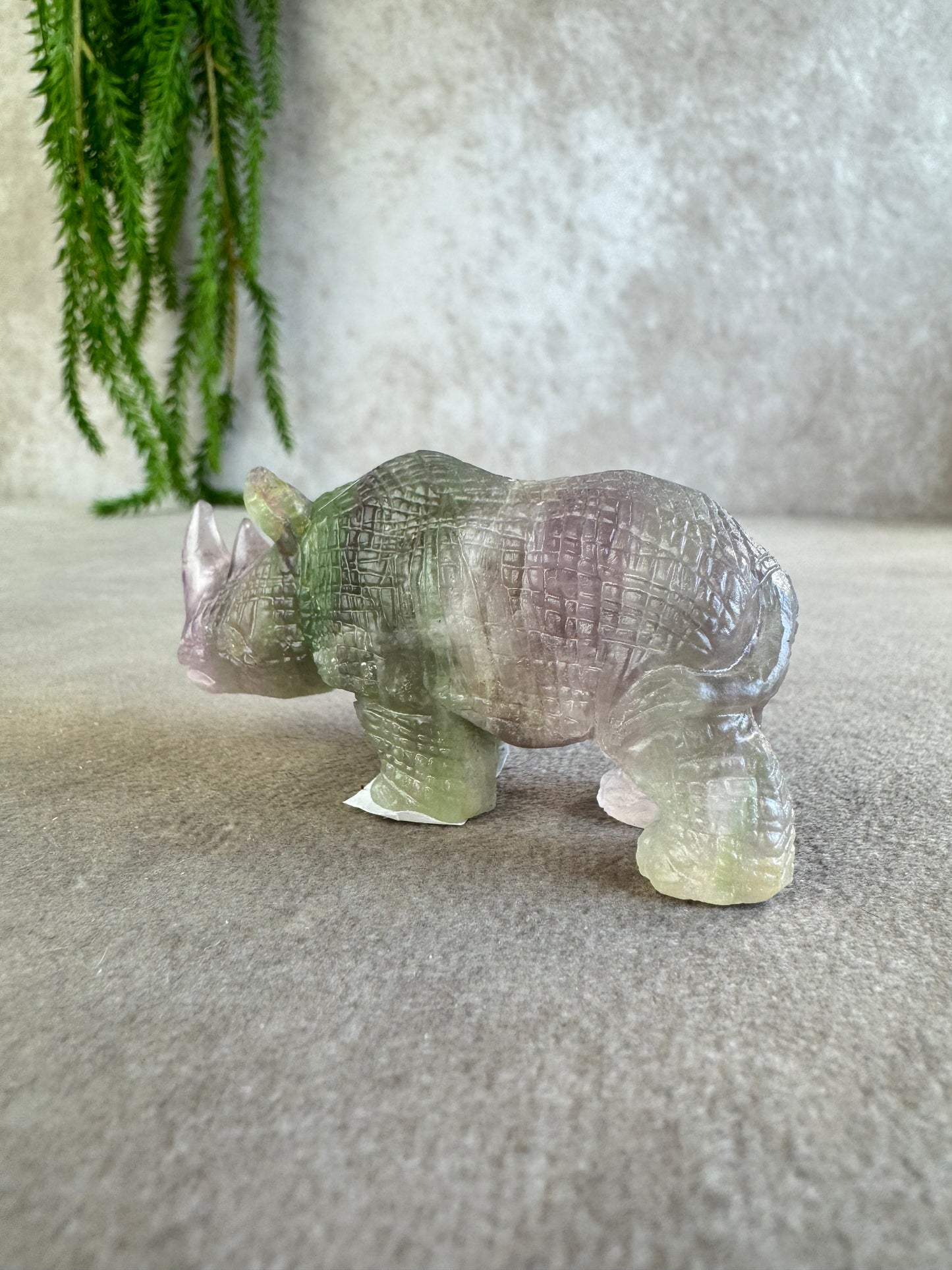Neushoorn paars groen