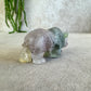 Neushoorn paars groen