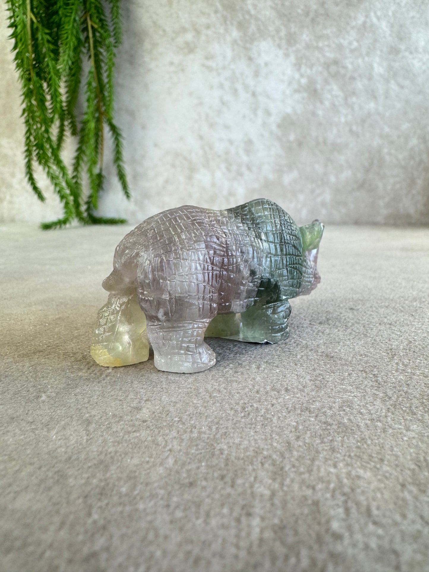 Neushoorn paars groen