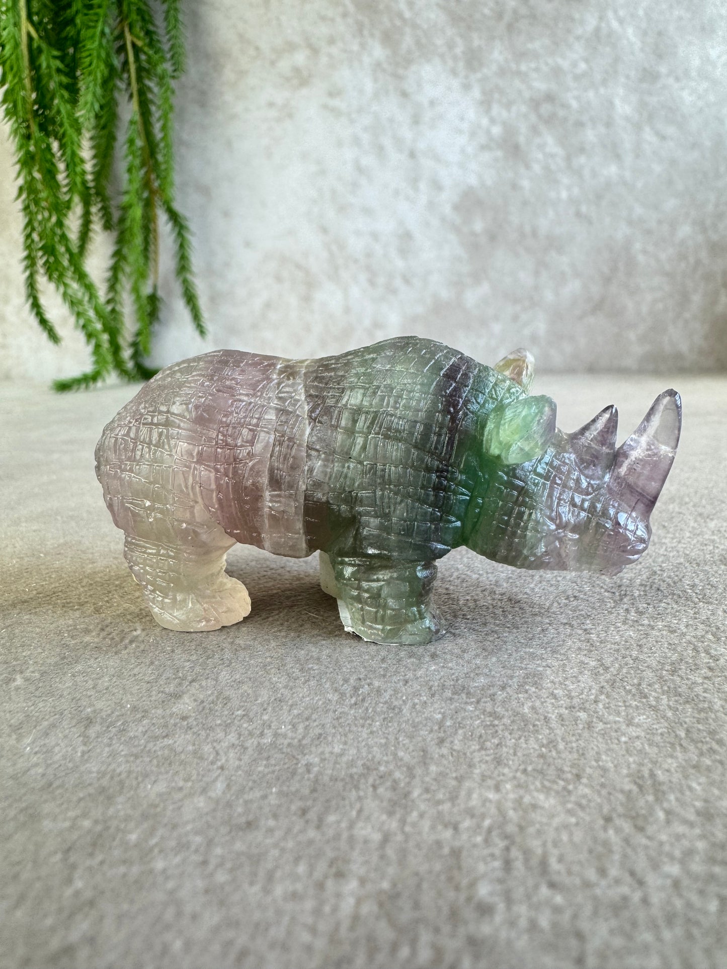 Neushoorn paars groen