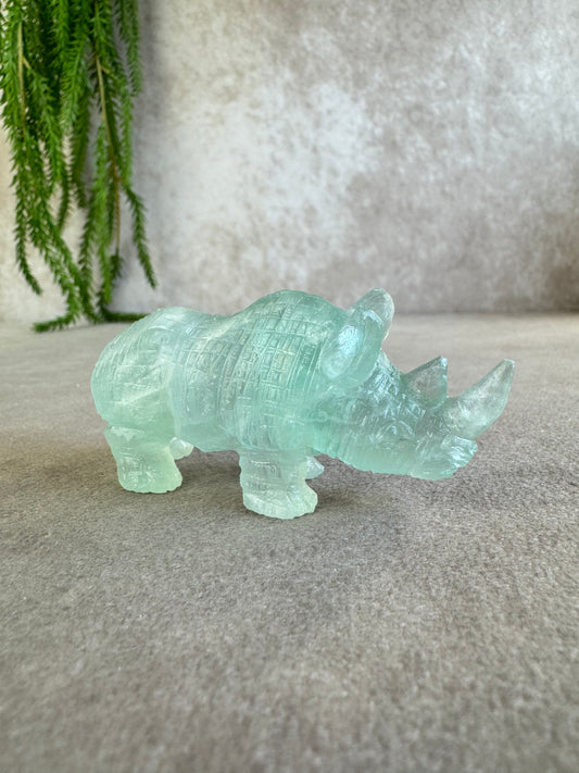 Neushoorn turquoise