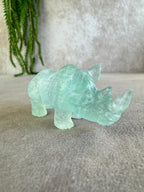 Neushoorn turquoise