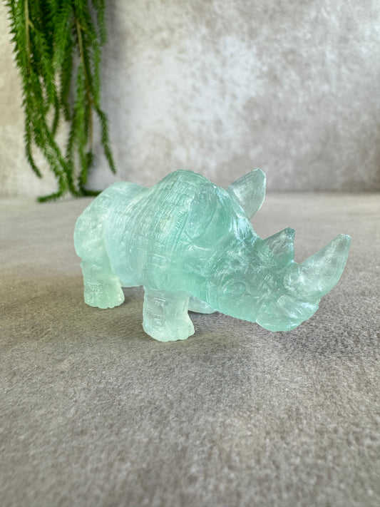 Neushoorn turquoise