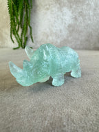 Neushoorn turquoise