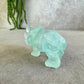 Neushoorn turquoise