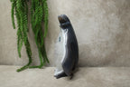 Agaat pinguïn #1078