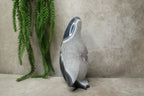 Agaat pinguïn #1078