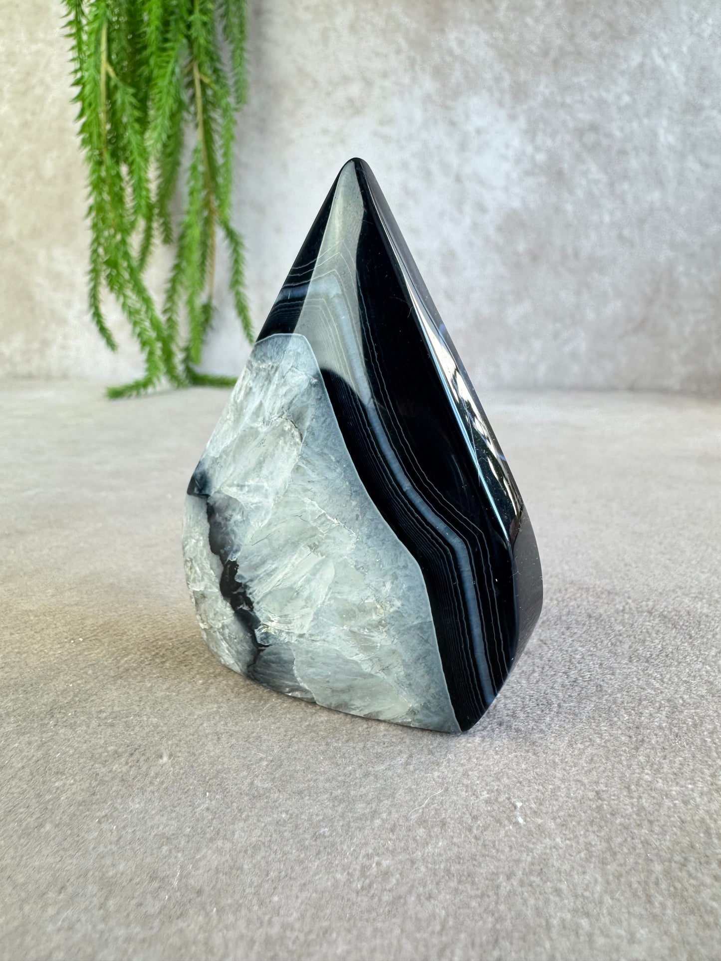 black sardonyx vlam #10