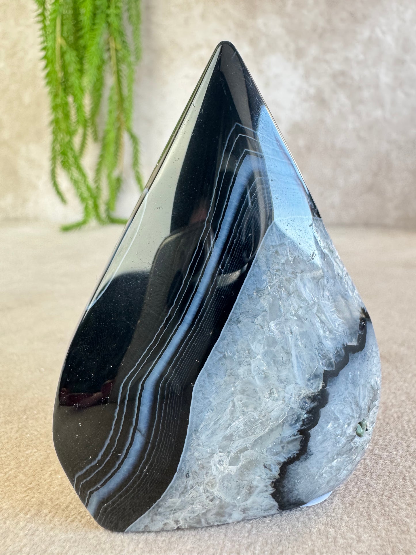 black sardonyx vlam #10