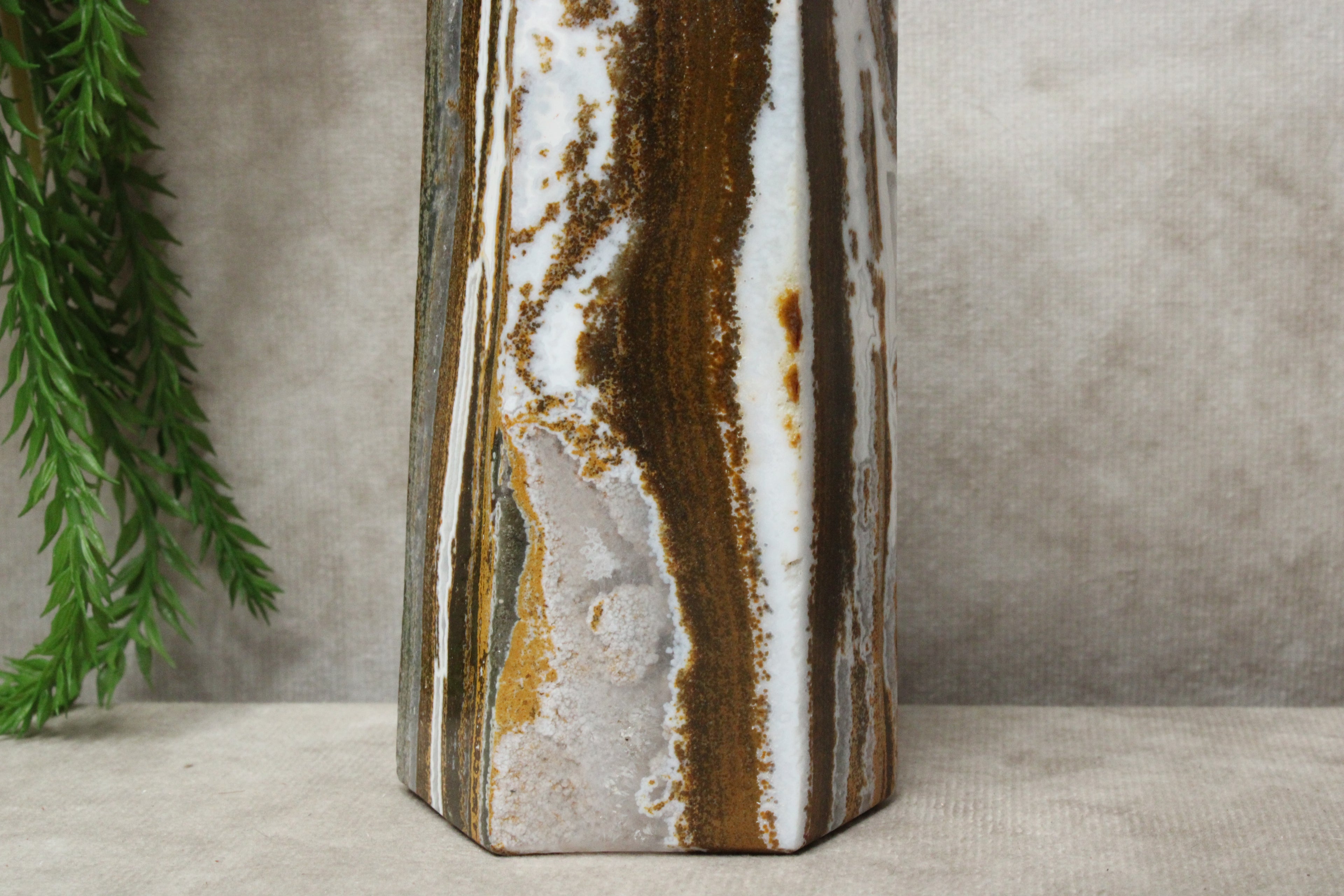 Oceaanjaspis toren #0864