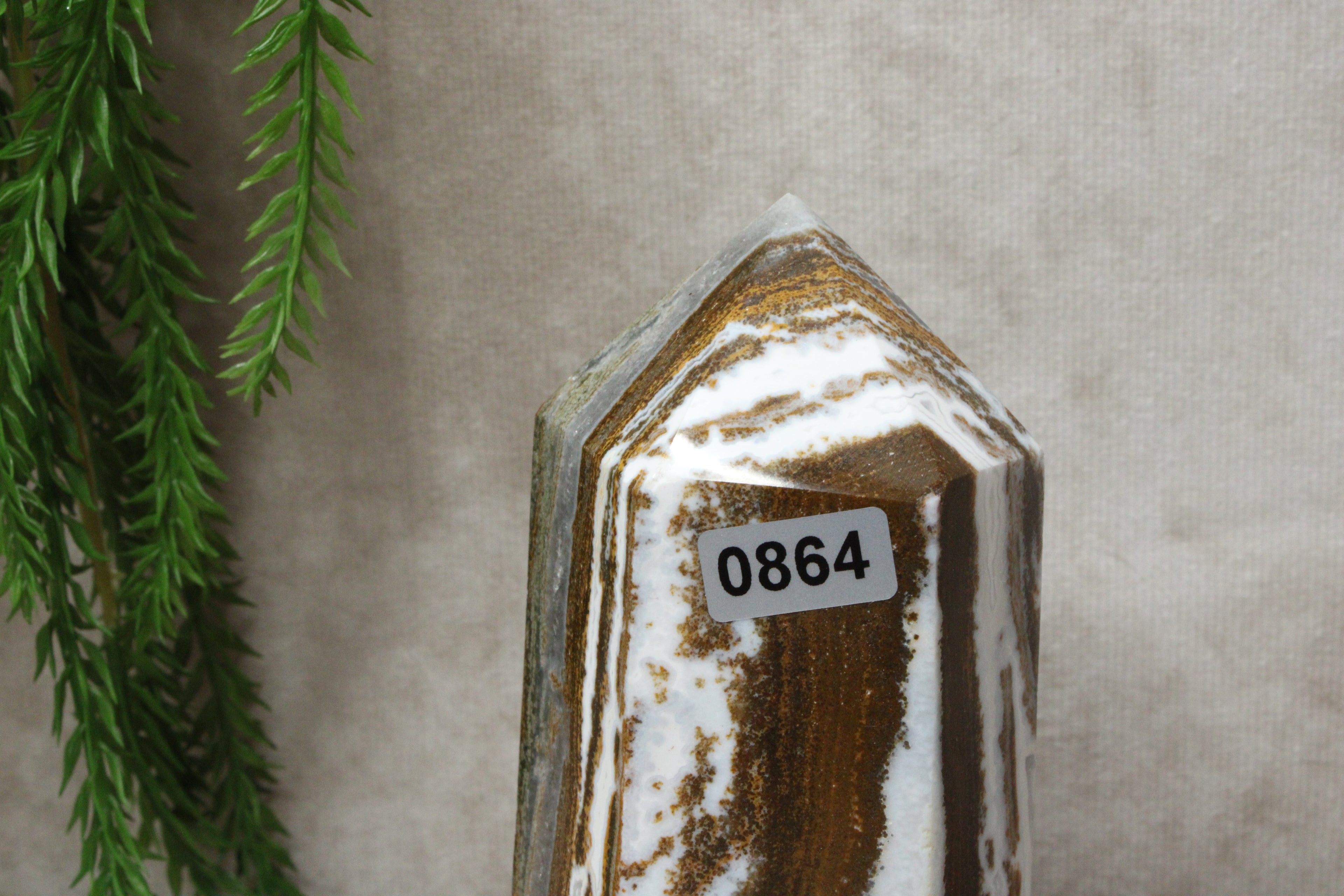 Oceaanjaspis toren #0864