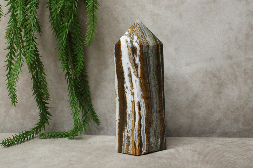 Oceaanjaspis toren #0864