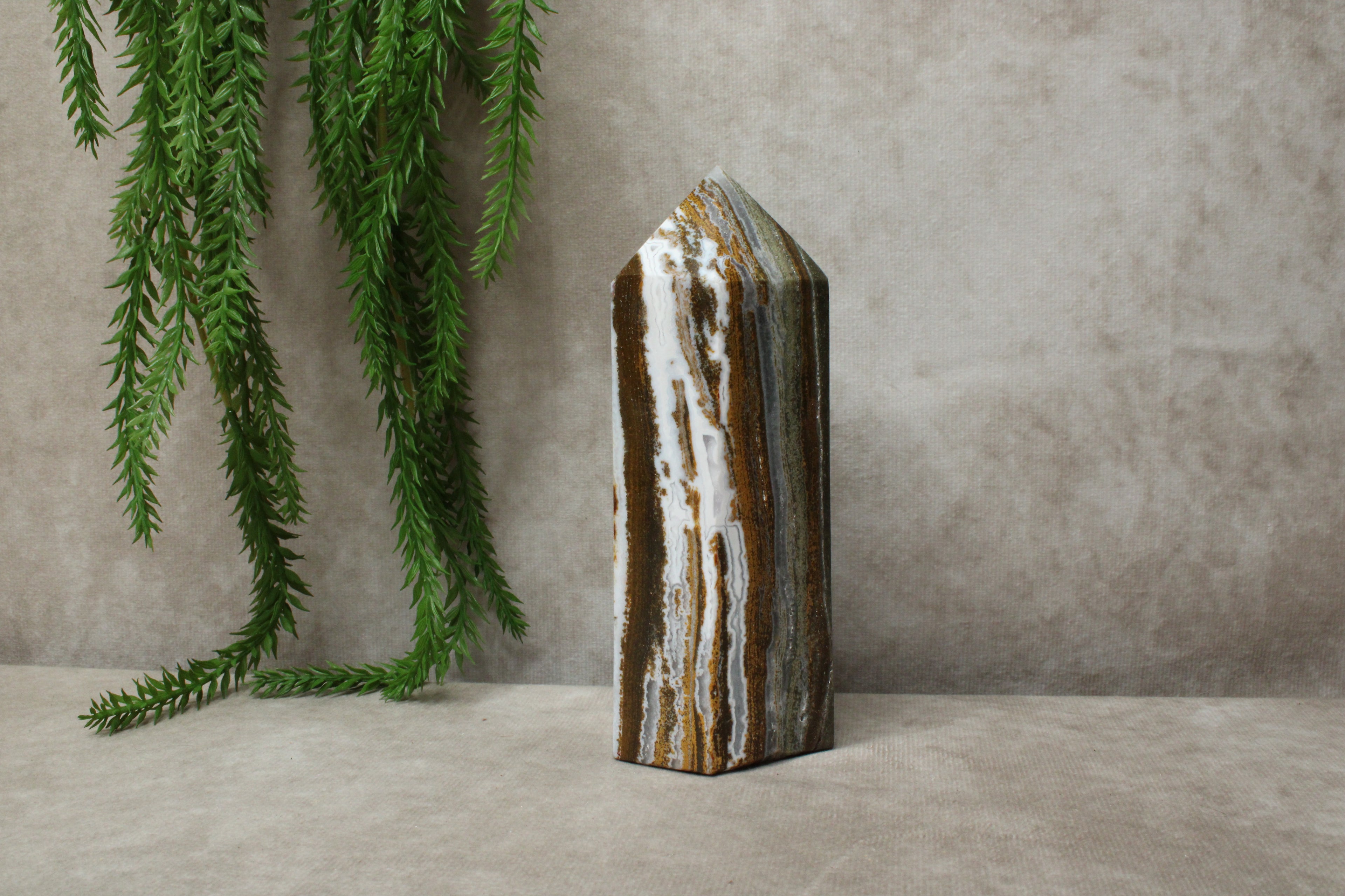 Oceaanjaspis toren #0864