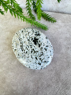 Oceaan jaspis handsteen #35