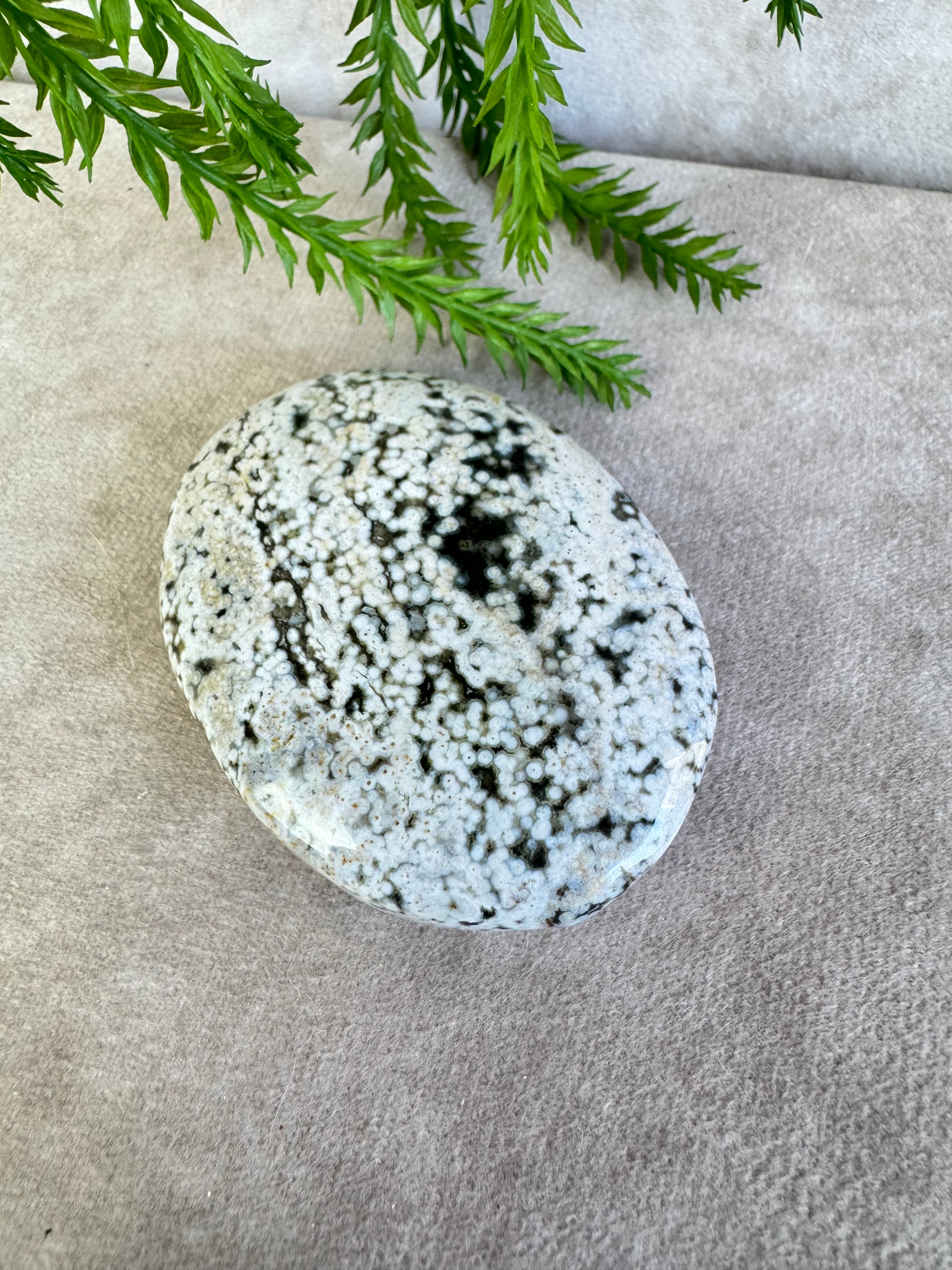 Oceaan jaspis handsteen #35