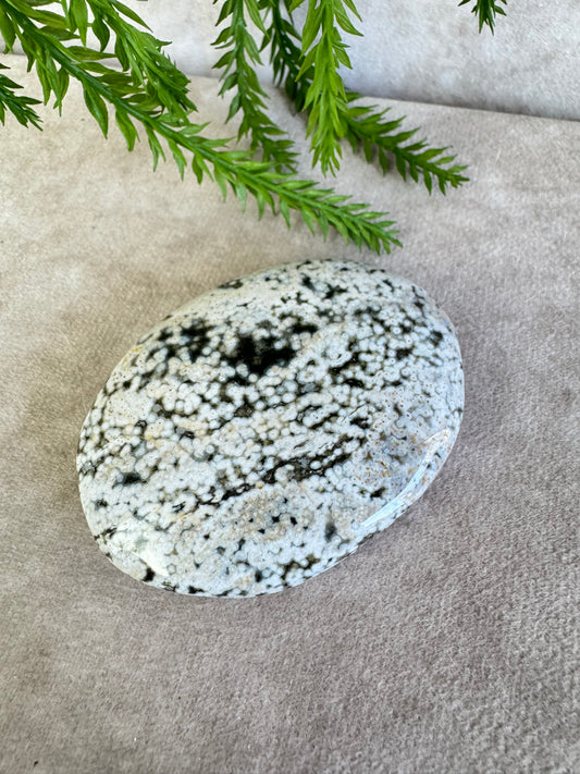 Oceaan jaspis handsteen #35