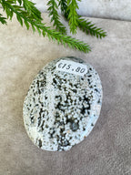 Oceaan jaspis handsteen #35